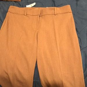 Loft dress pants size 12 NWT